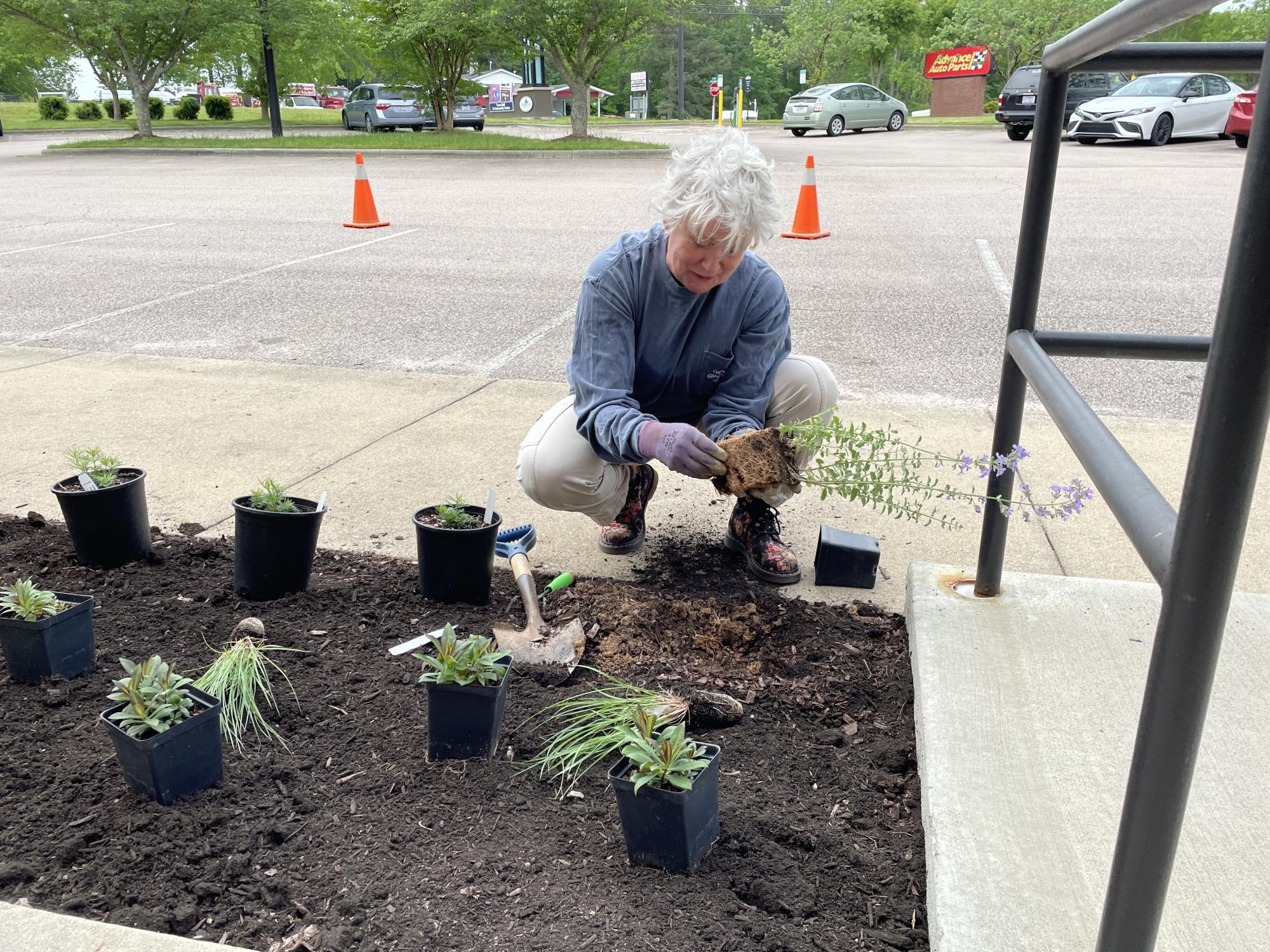 Town Hall Pollinator Garden Planting