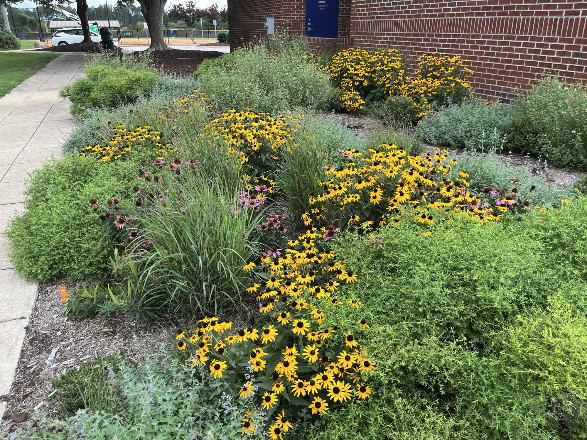 Redford Place Park Pollinator Garden