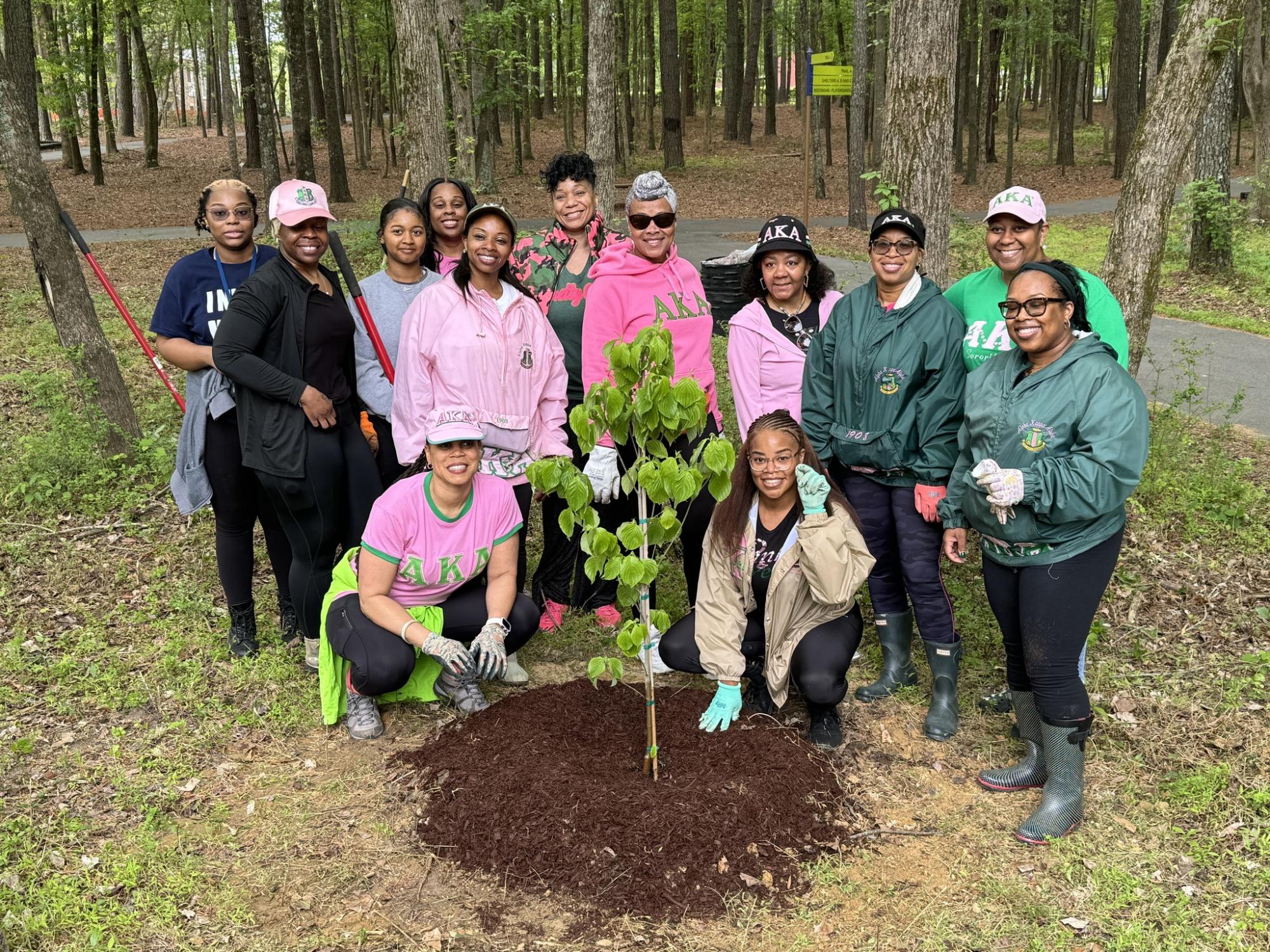 Tree City USA Planting