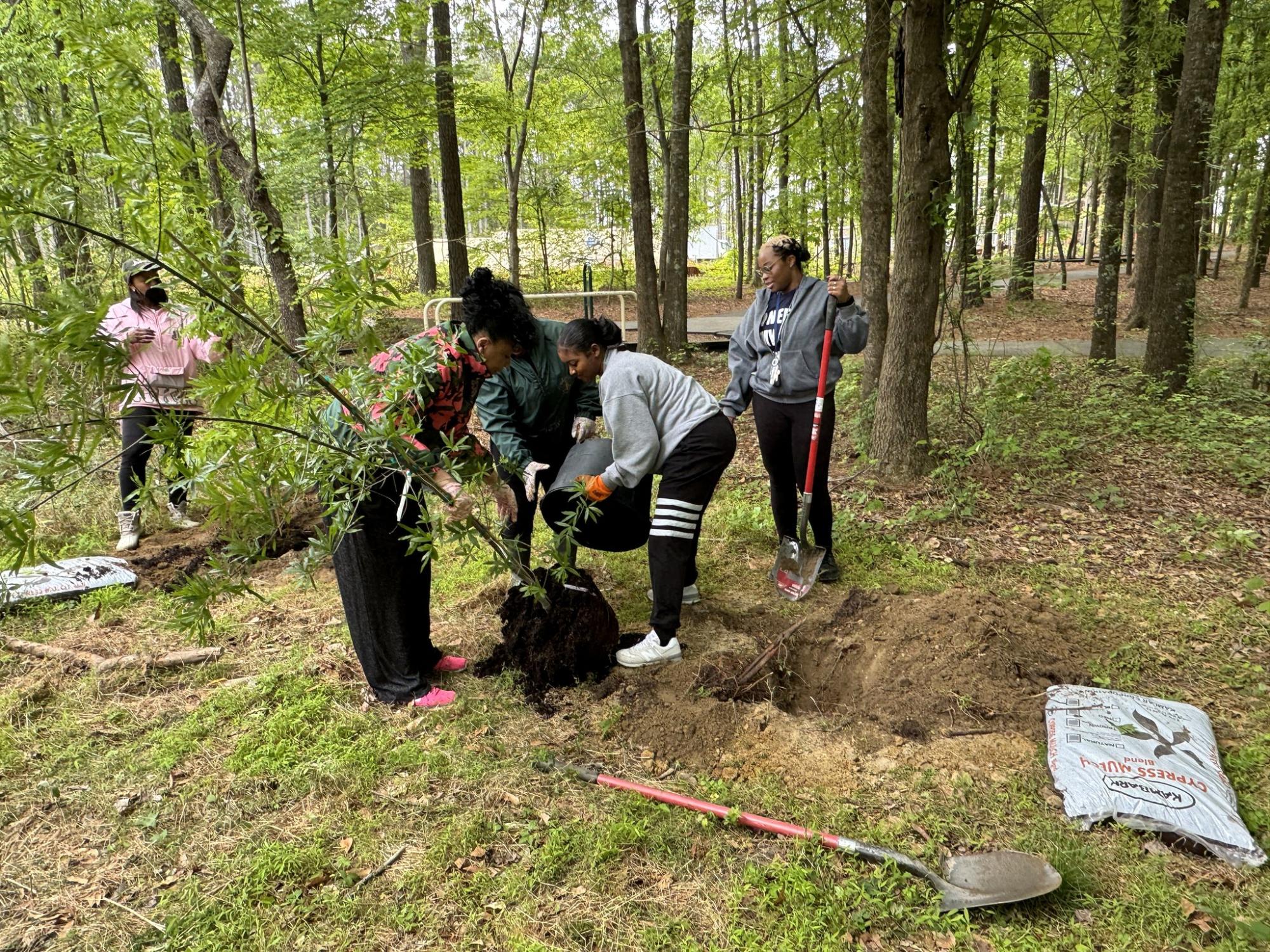 Tree City USA Planting