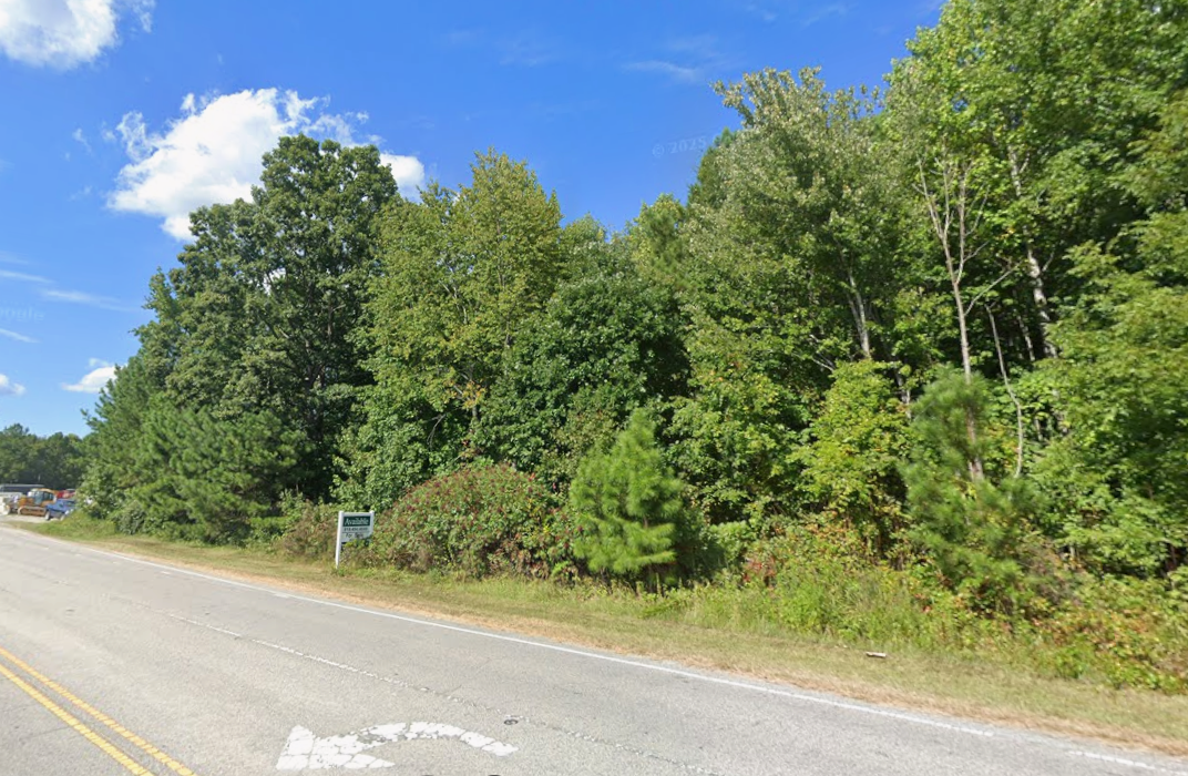 Plot of land with a lot of trees